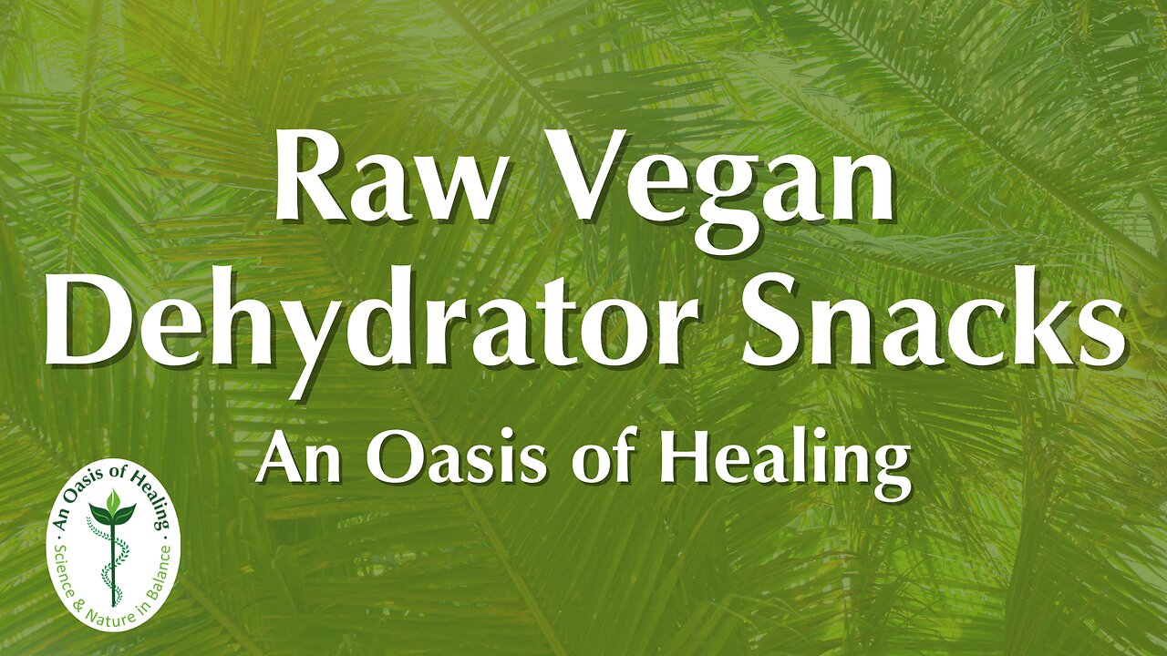 Raw Vegan Dehydrator Snacks