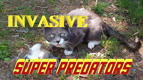 INVASIVE SUPER PREDATORS