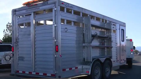 4 arrested in North Las Vegas cockfighting raid
