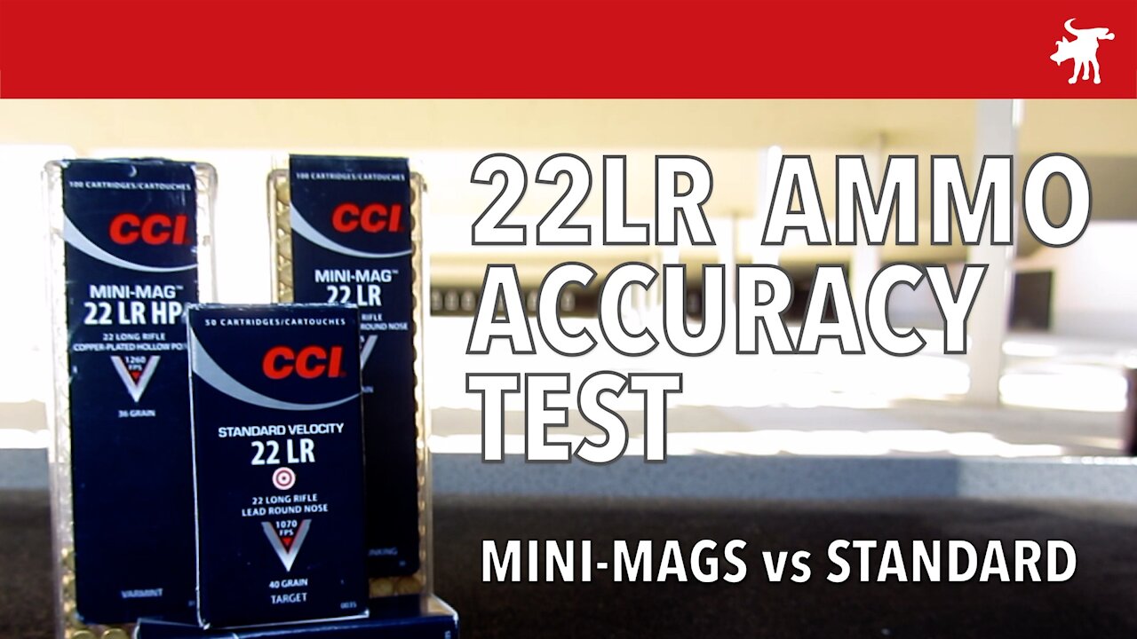 CCI Mini-Mag vs Standard Velocity: 22LR ammo test