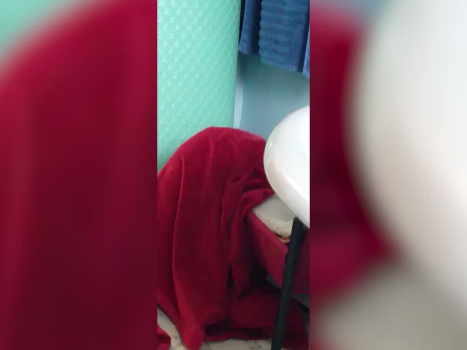 Dog Wraps himself in Blanket – Try not to "Aww"