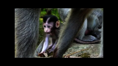 Adorable Baby Newborn Really Happy To Play Around Mama