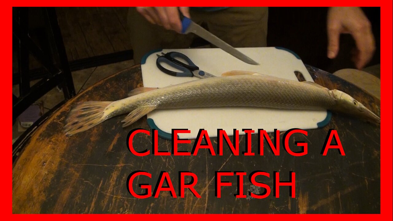 BSH - How To Clean Gar Fish