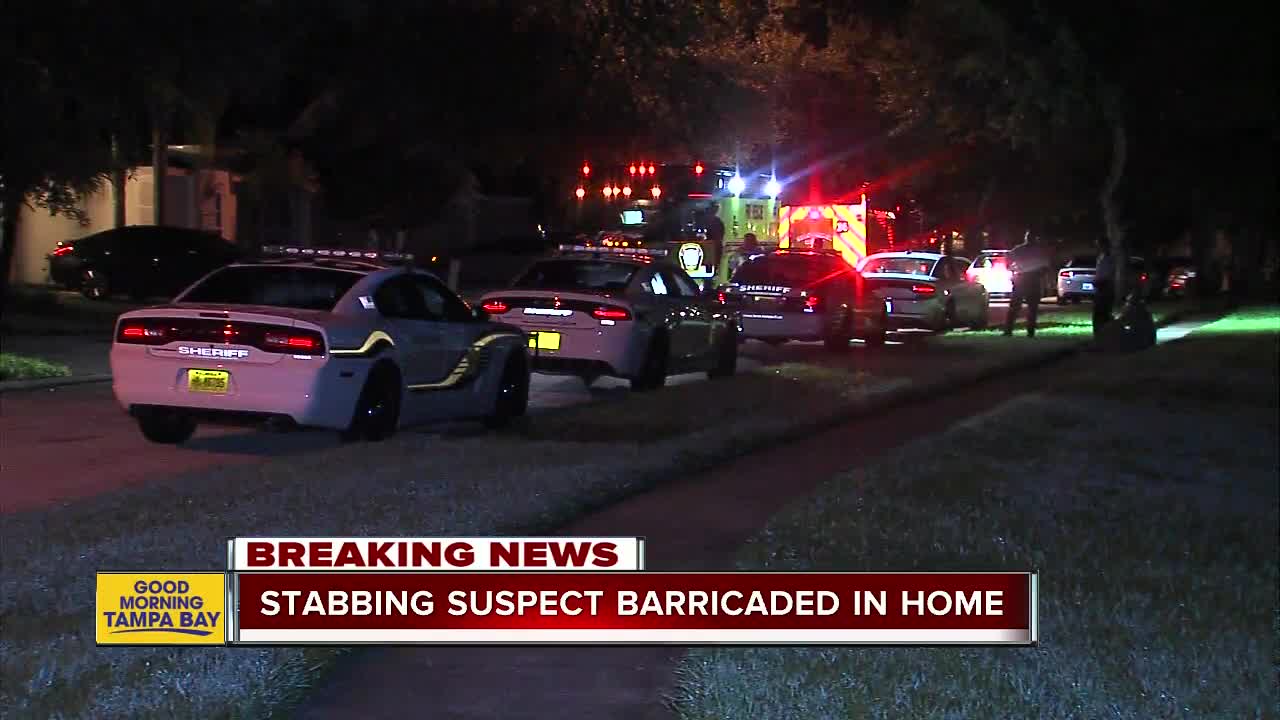 Man stabs elderly woman multiple times, barricades himself inside Lutz home