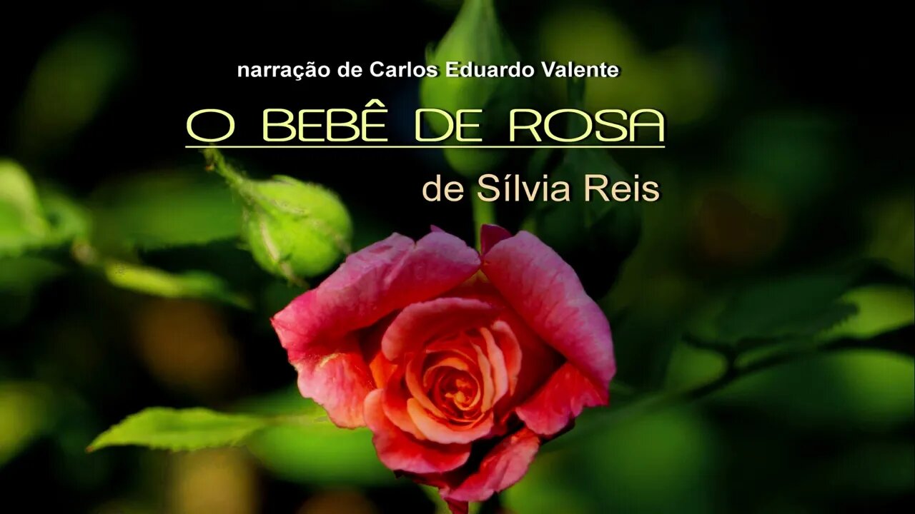 AUDIOBOOK - O BEBÊ DE ROSA - de Sílvia Reis