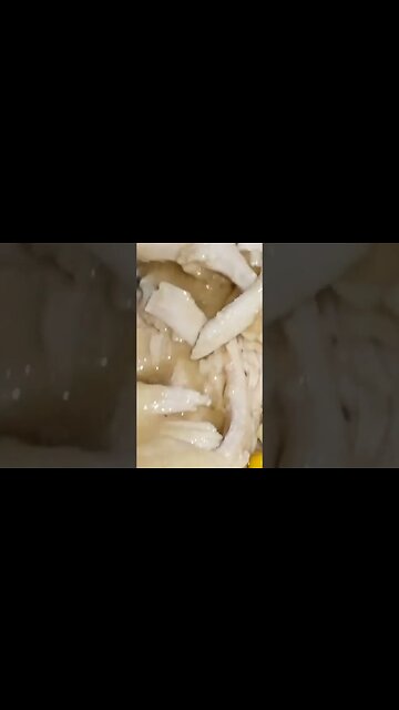 Did your Thanksgiving look like this at all?🦃🇺🇸💣 #shorts