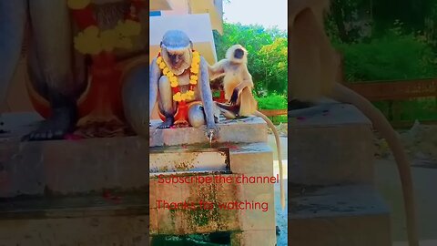 Jai Hanuman ji #entertainment #devotional #youtube #youtubeshorts #youtuber #religion