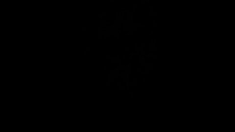 How to pronounce dunwiddie