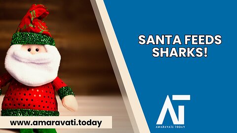 Diving Santa Delivers Fishy Christmas Gifts to Sharks in Hungary | Amaravati Today