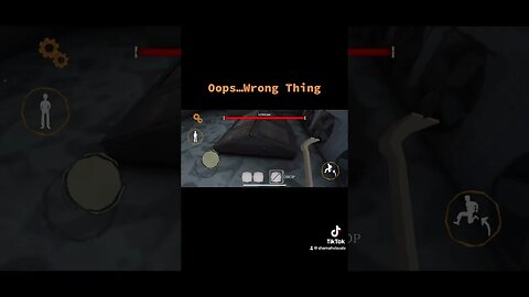 Oops..Wrong Thing - The Twins(Horror Game by Granny Developer)