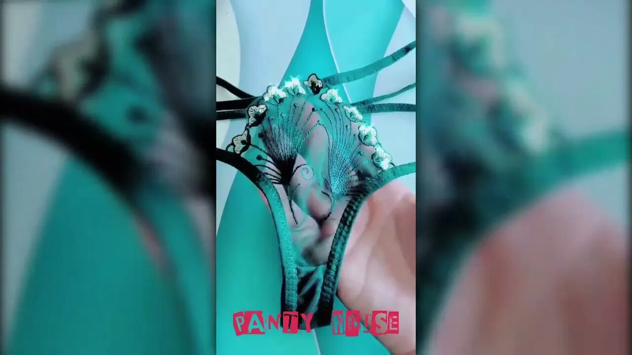 Women Bikini Transparent Panty 👙| Cute Lacy Panty 👙| Panty Collection 👙 Part - 31 | Panty House 👙