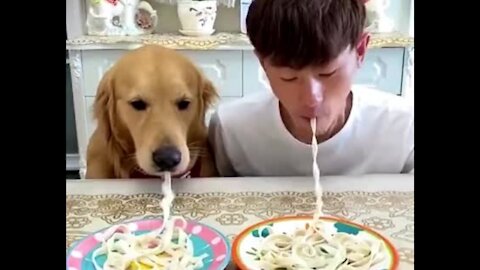 Epic Food Eating competition, Man vs Dog. Guess who wins😄..