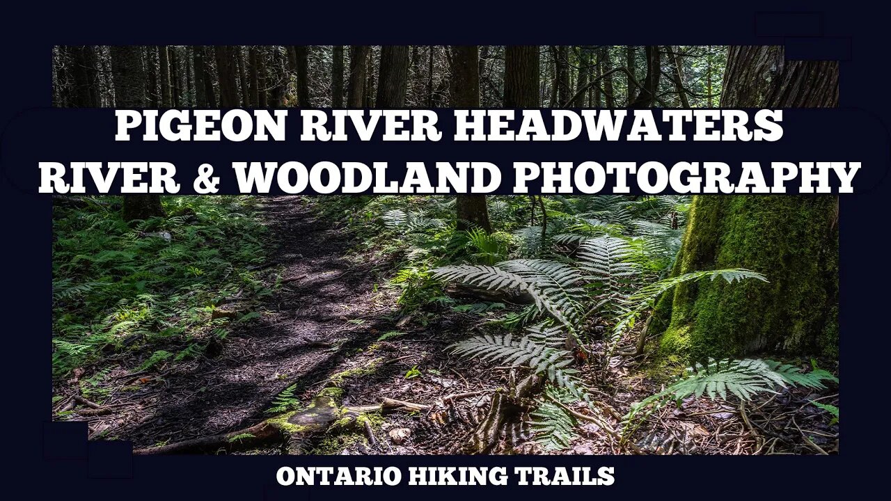 Pigeon River Headwaters River And Woodland Photography