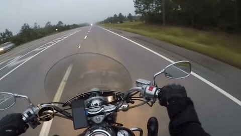 Bird Strike on a Motorcycle