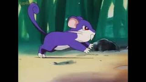 pokedex #019 Rattata