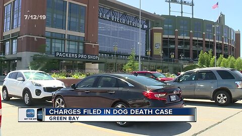 Charges filed for dog death case