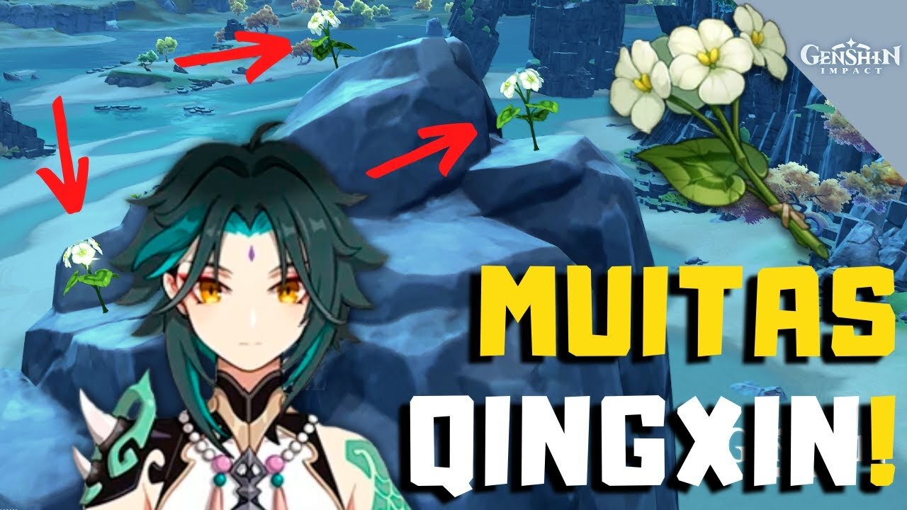 Rota de farm de Qingxin (Otimizada) - Genshin Impact