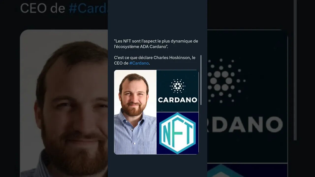 "Les NFT sont l'aspect le plus dynamique de l'écosystème ADA #Cardano.