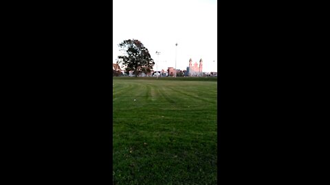 Everest at the park playing with her playology ball