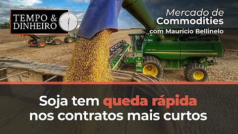 Soja tem queda rápida nos contratos mais curtos. Por que?