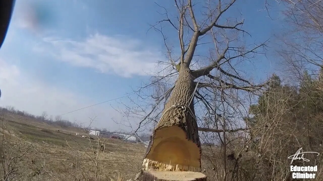 Felling Trees with Sam Cooke. Amen.