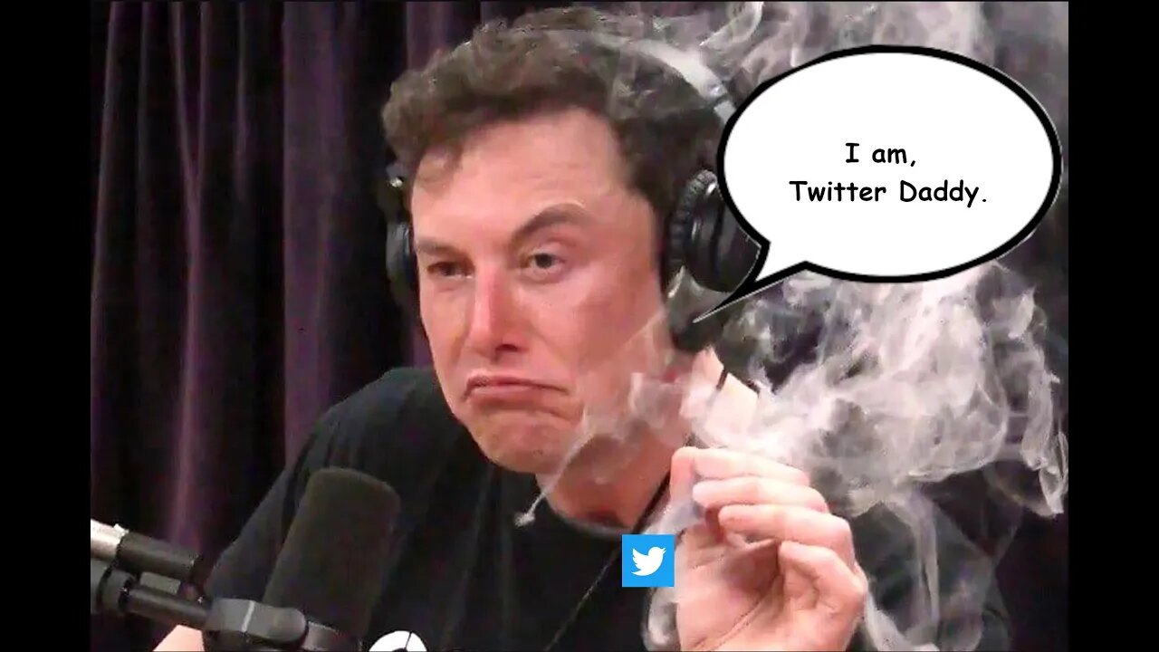 Elon Musk Buys Twitter, Nibel Rage Quits