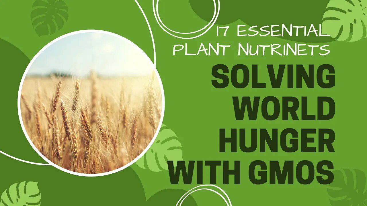 This Nutrient & GMO Will Solve World Hunger. The Purpose Of Iron And Plants. Plantmas Ep 17