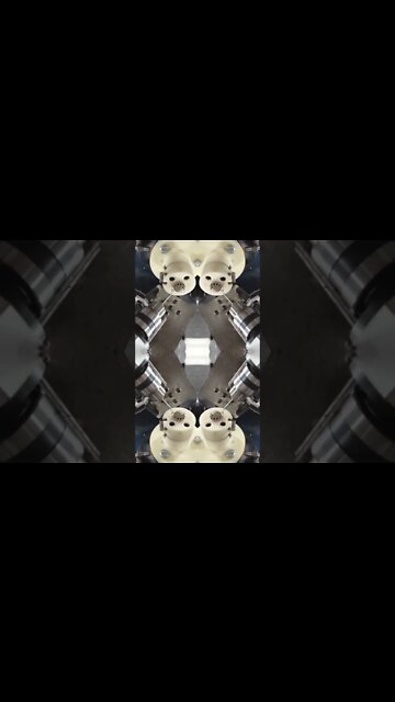 Most Amazing and trending video||relaxing your mind||trendig videos|| #shorts #trending #viral #live