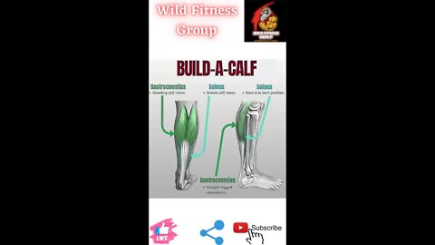 🔥Build a calf🔥#fitness🔥#wildfitnessgroup🔥#shorts🔥