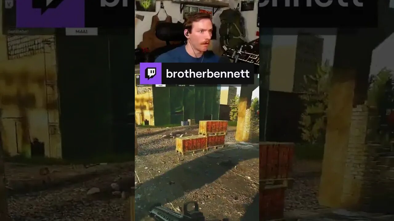swatting flys | brotherbennett on #Twitch