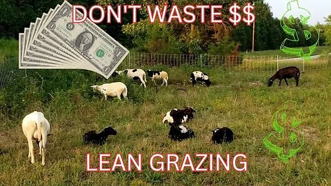 How to run a LEAN SHEEP GRAZING operation.