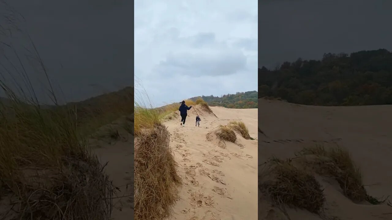 Outdoor Moments #shorts