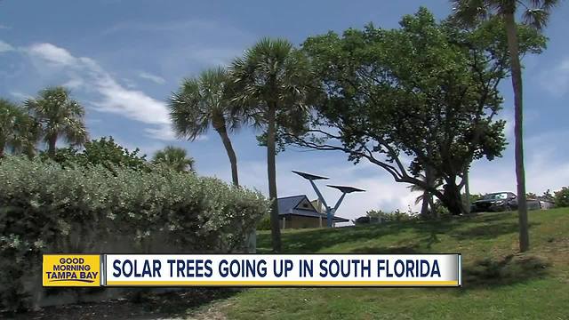 Solar trees 'sprouting' up across South Florida