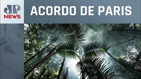 Brasil precisa de R$ 1 trilhão para reduzir carbono até 2030