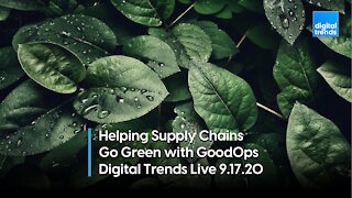 Co-Founder and CEO of GoodOps Divya Demato | Digital Trends Live 9.17.20
