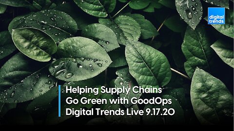 Co-Founder and CEO of GoodOps Divya Demato | Digital Trends Live 9.17.20