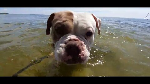 Winnie for the first time at mirnster cliff with Famke in tow