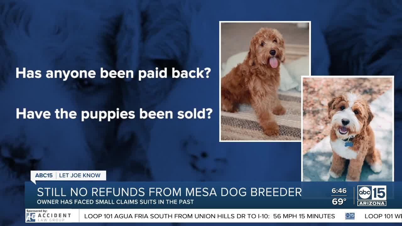 Still no refunds from Mesa dog breeder