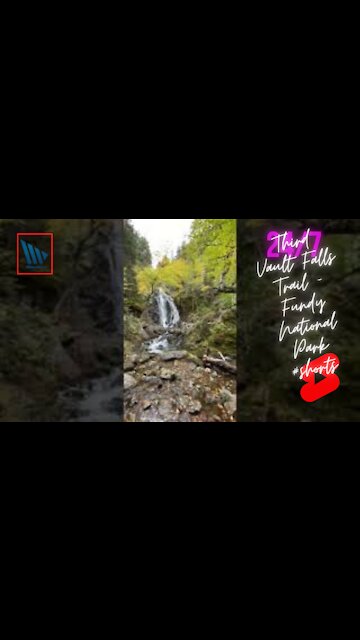 Third Vault Falls Trail - Fundy National Park #shorts