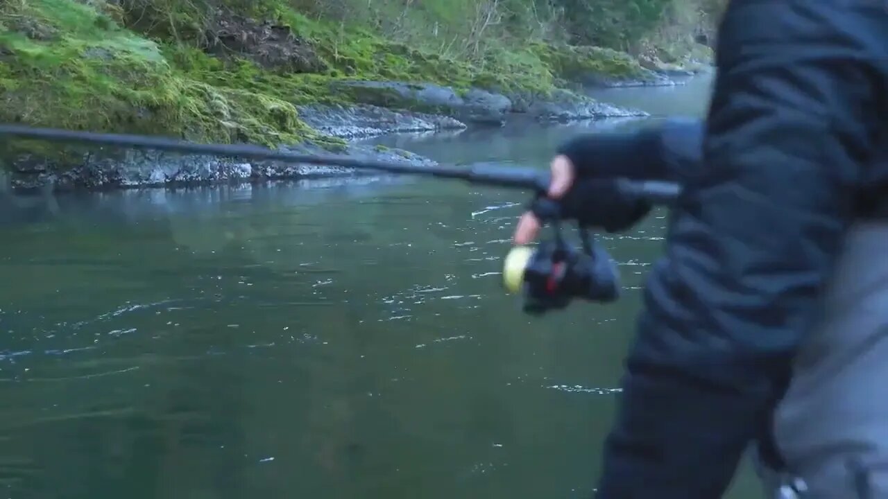 Crazy MONSTER Steelhead FISHING! Epic BOBBER DOWNS! (NEW PB HATCHERY_) @ 2