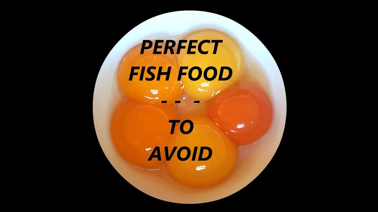 DON'T FEED EGG YOLK TO FISH