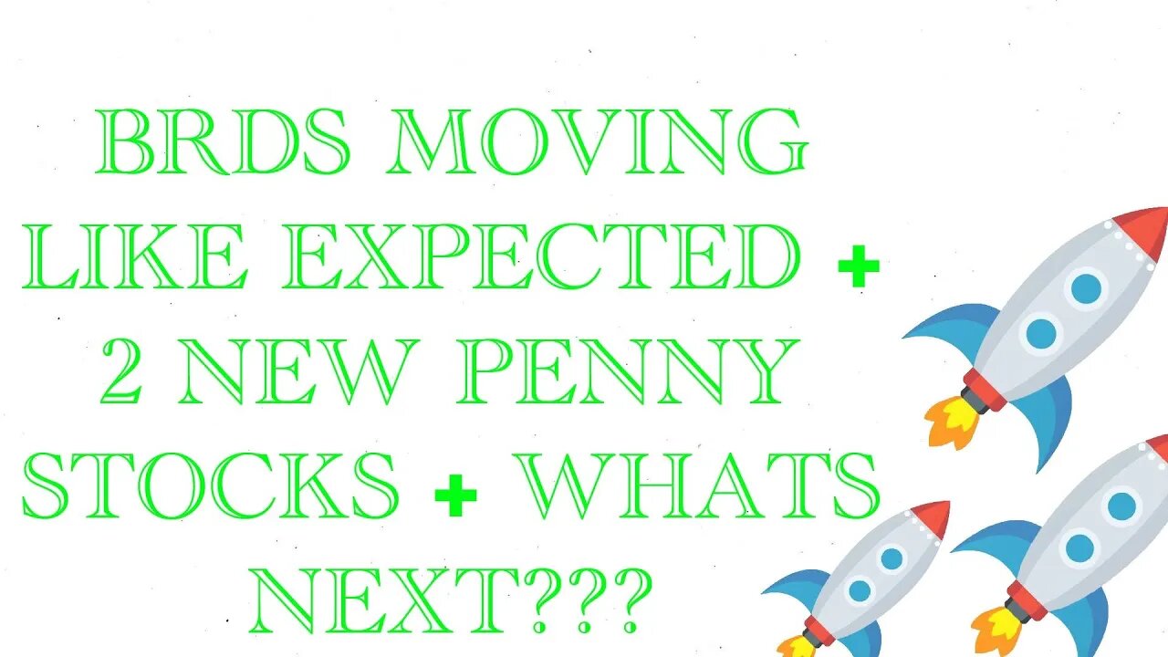 BRDS DOING EXACTLY WHAT WE FORECASTED + 2 NEW PENNY STOCK PLAYS THAT YOU MUST WATCH