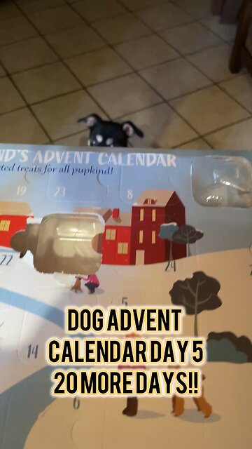 Dog Advent Calendar Day 5