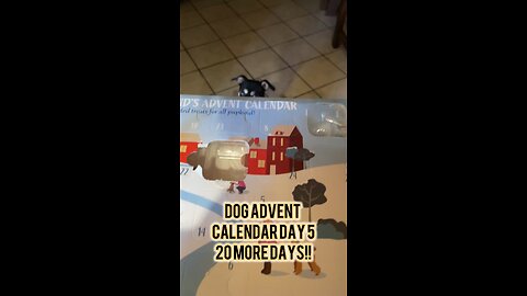 Dog Advent Calendar Day 5