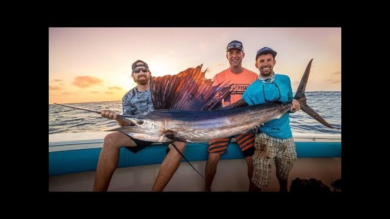 Deep Sea Fishing Battle