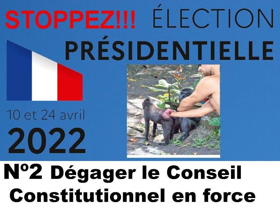 😤Arretons les presidentielles Partie 2 🖕Conseil Contitutionnel et Insee🖕 Arnaque