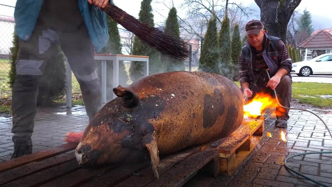 Tăierea Porcului Decembrie 2021