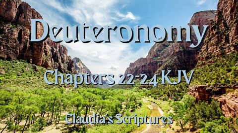 The Bible Series Bible Book Deuteronomy Chapters 22-24 Audio