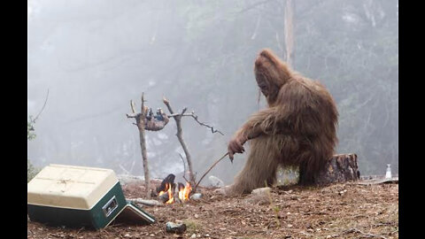 Bigfoot Eating Horse Carcass on Kentucky Mountain Road