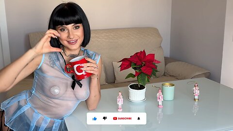 [4K USA] Table Cleaning | Transparent Outfit Try-On Haul with Sarah